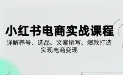 小红书从0-1实操课(2023-2025)，详解养号、选品、文案撰写、爆款打造实现电商变现-轻创项目网