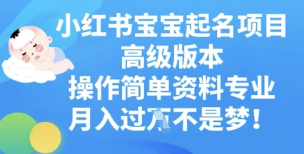 小红书宝宝起名项目高级版本，操作简单，资料专业，月入过W-轻创项目网