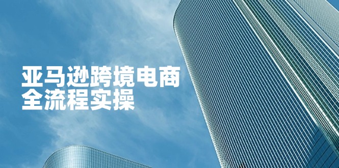 （14252期）亚马逊跨境电商全流程实操，教你从零开始，掌握店铺运营与广告技巧-轻创项目网