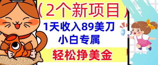 2个新项目，轻松挣美金， 1天收入89美刀，小白专属，干货分享-轻创项目网