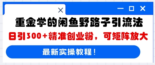 重金学的闲鱼野路子引流法，日引300+精准创业粉，可矩阵放大-轻创项目网