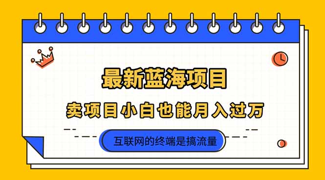（14289期）2025年最新蓝海项目，卖项目小白也能月入过万-轻创项目网