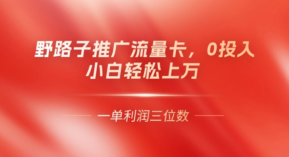 0门槛推广流量卡，一单收益上百，0投入，小白月入过W-轻创项目网