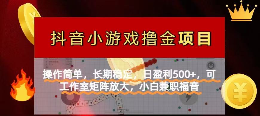 （14290期）【抖音小游戏发行人计划项目】操作简单，长期稳定，日盈利500+，可工作...-轻创项目网