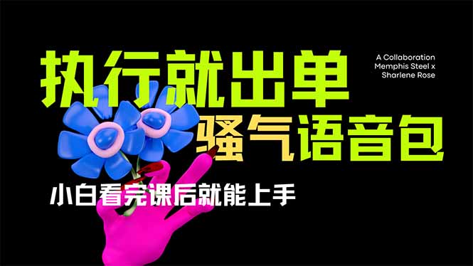 （14170期）爆火全网的开车导航骚气语音包,只要执行就出单，小白看完课程就能实操...-轻创项目网