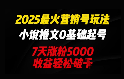 2025最火营销号玩法：小说推文0基础起号，7天涨粉5000，收益轻松破k-轻创项目网