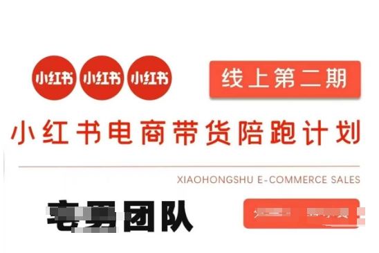 小红书电商带货课2期，月利润20个的小红书电商的有货源，无货源，虚拟产品，付费投流等整套玩法-轻创项目网
