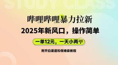 哔哩哔哩暴力拉新：2025年新风口，一单12元，一天数张(附开白渠道和保姆级教程)-轻创项目网