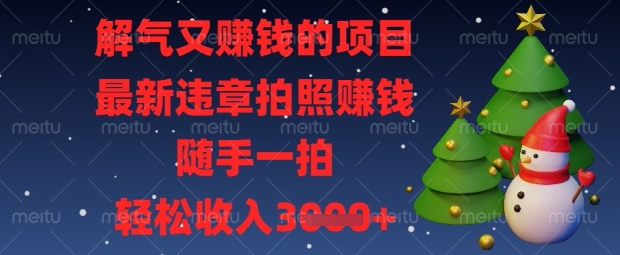 解气又挣钱的项目，最新违章拍照挣钱，随手一拍，轻松收入数张【揭秘】-轻创项目网